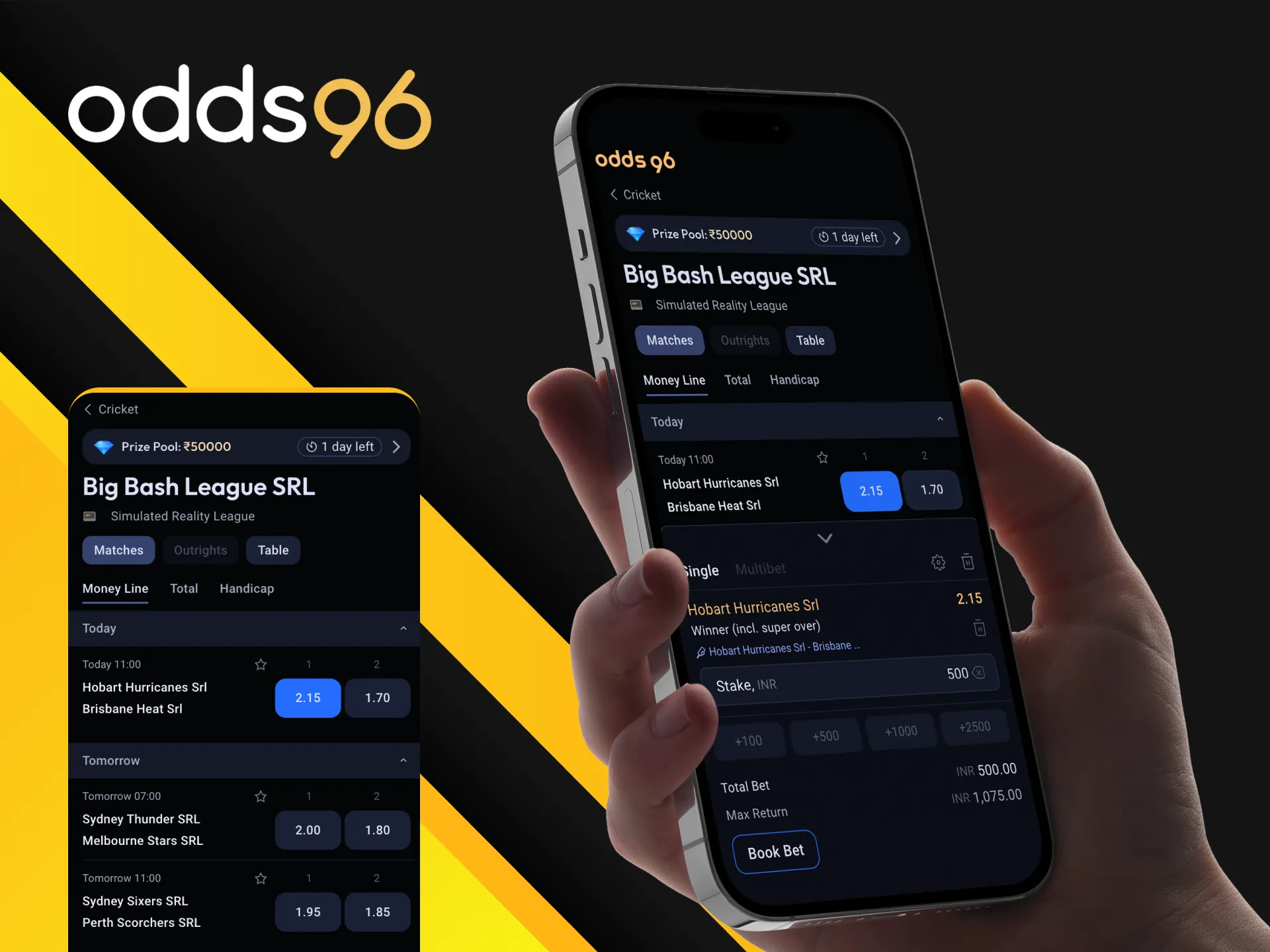 How do I use the Odds96 app for cricket betting?